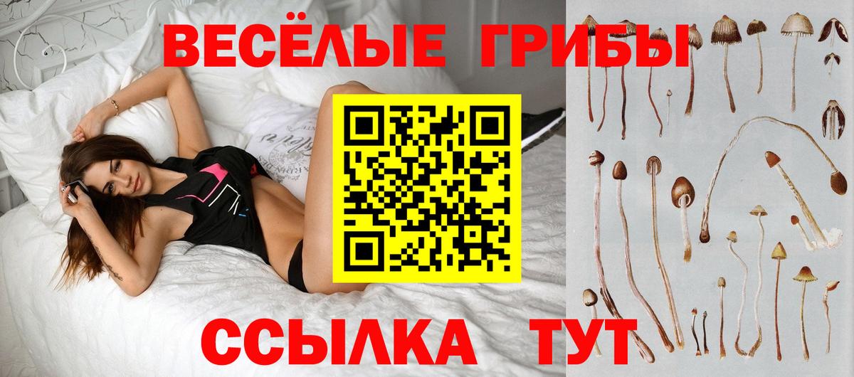 Воскресенск  Псилоцибиновые грибы MAGIC MUSHROOMS  Псилоцибиновые грибы ЛСД  Вход с VPN 
